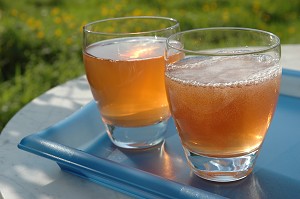 Kombucha