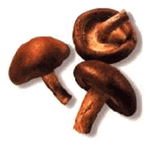 Shiitake Mushrooms