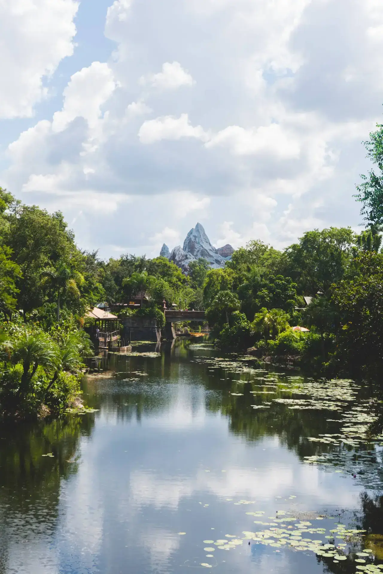 InfoStarBase Disney Tips