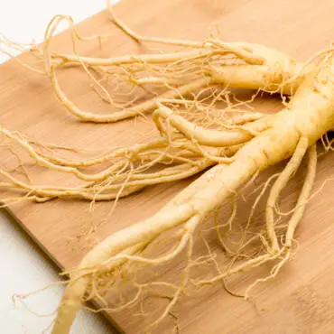 Ginseng