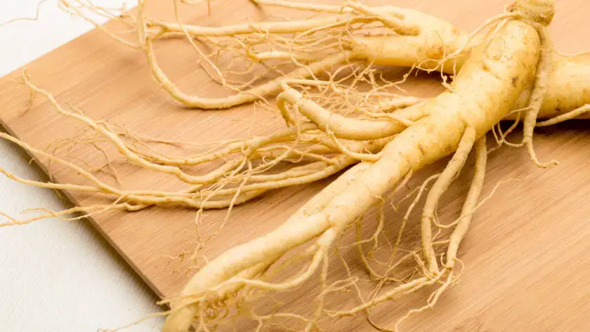 Ginseng