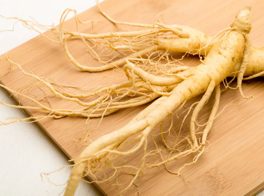 Ginseng