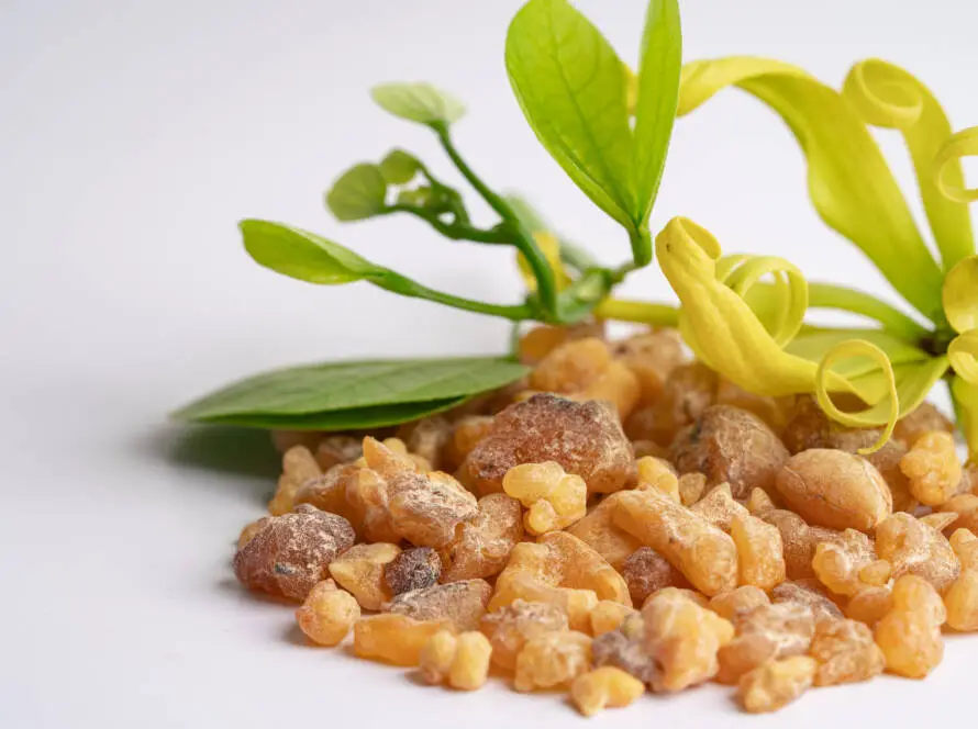Frankincense
