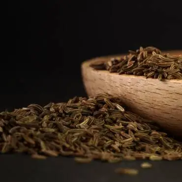 Health on the InfoStarBase