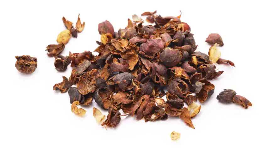 Health on the InfoStarBase