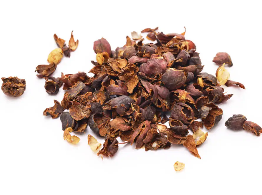 Health on the InfoStarBase