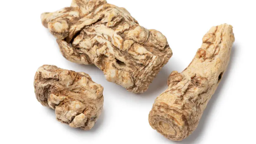 Health on the InfoStarBase