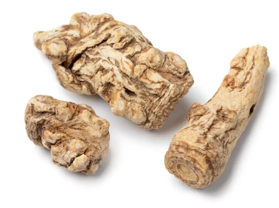 Health on the InfoStarBase