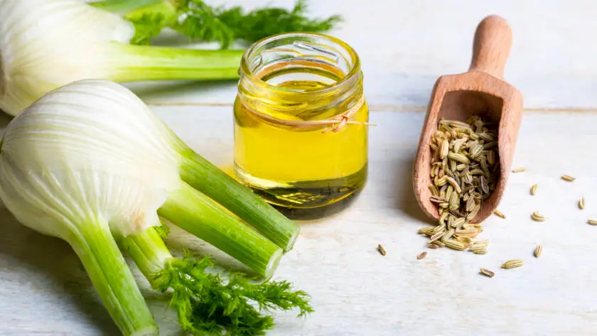 Fennel oil and fennel seeds