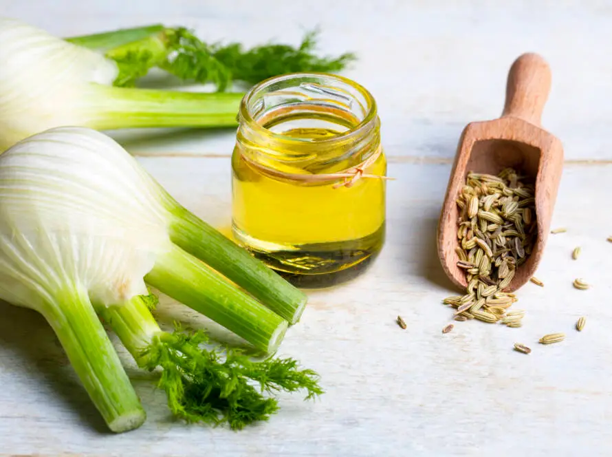 Fennel oil and fennel seeds