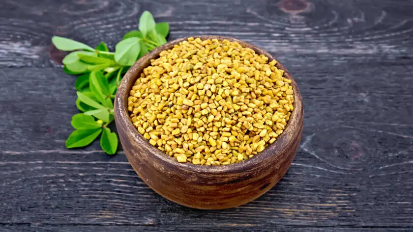 Health on the InfoStarBase