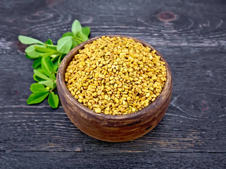 Health on the InfoStarBase