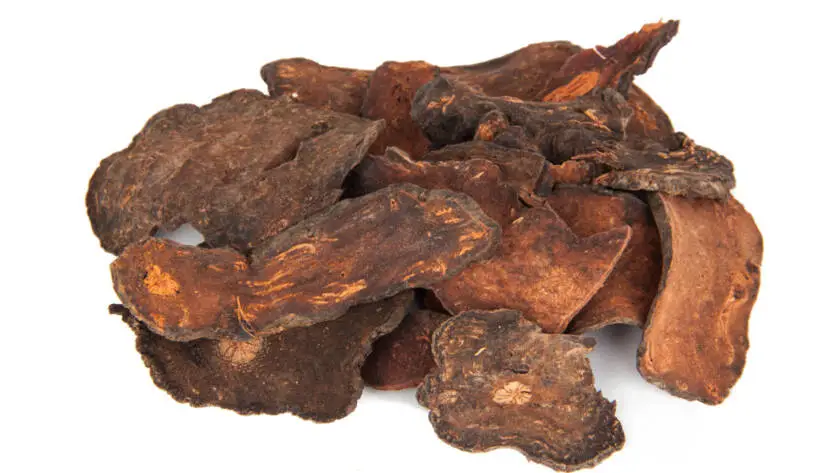 Health on the InfoStarBase