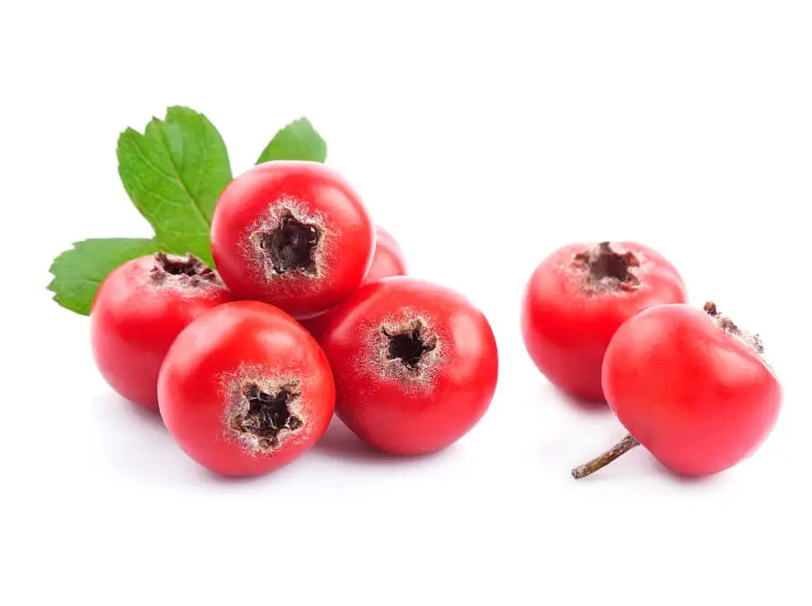 Hawthorn berry