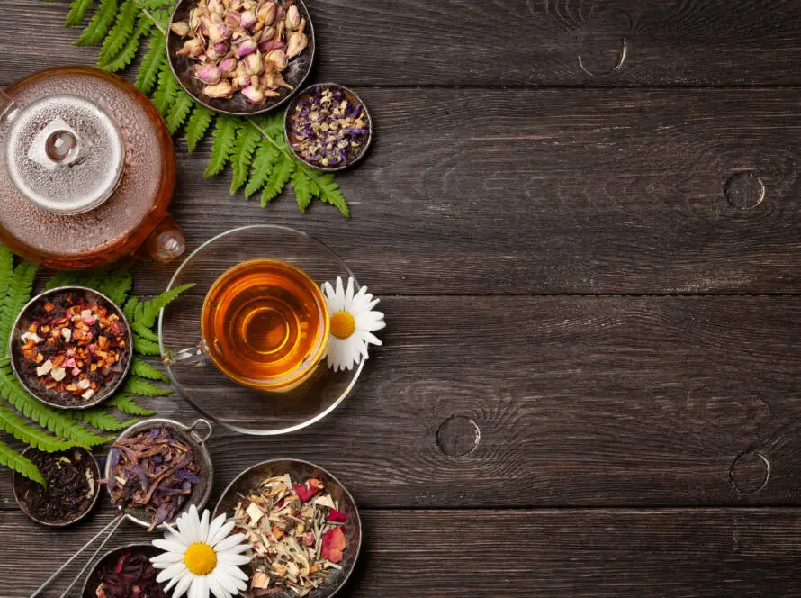 Various herbal tea, teapot and cup