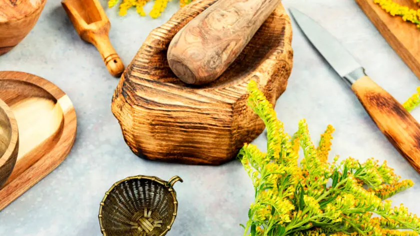 Medicinal herbs, alternative medicine.