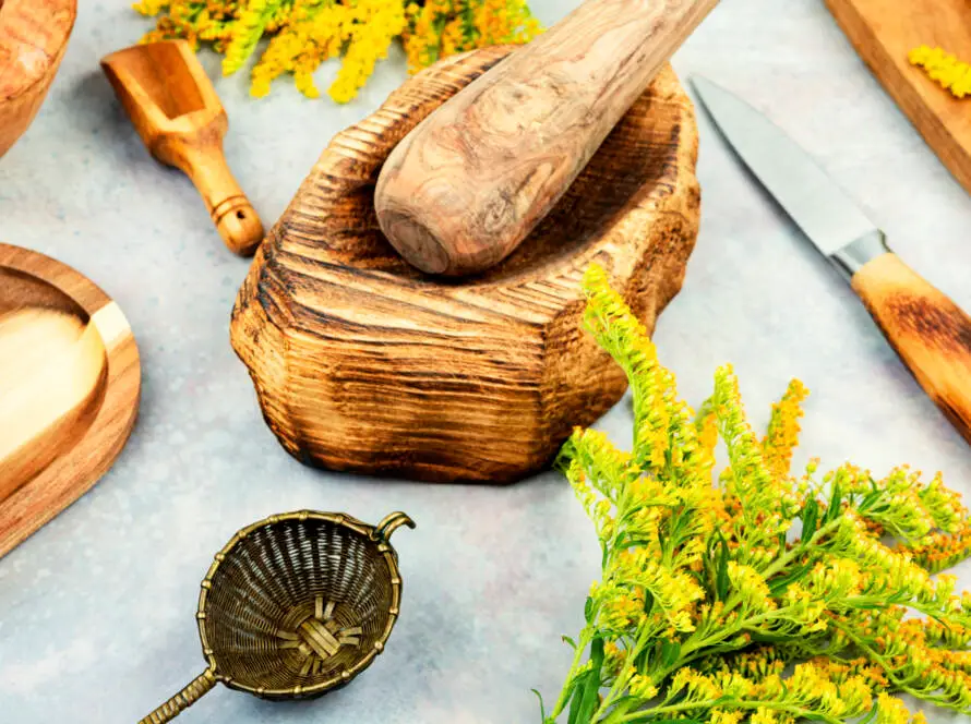 Medicinal herbs, alternative medicine.