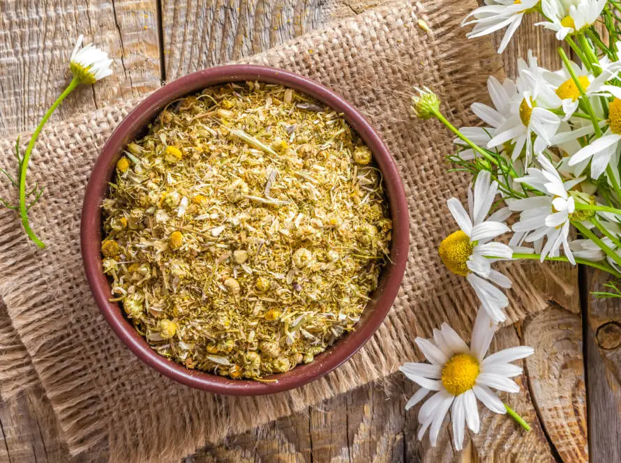 Dry chamomile