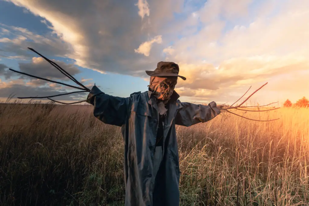 Scary scarecrow