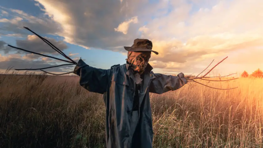 Scary scarecrow