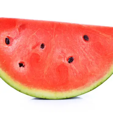 InfoStarBase Watermelon