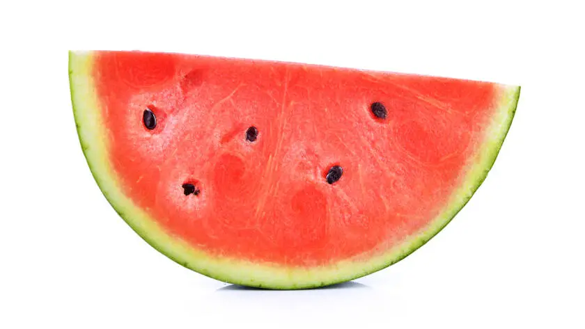 InfoStarBase Watermelon