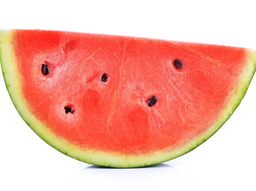 InfoStarBase Watermelon