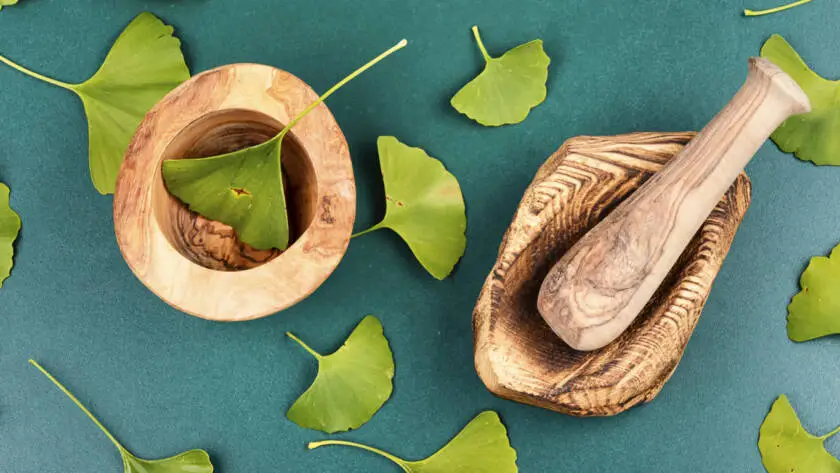 Health on the InfoStarBase