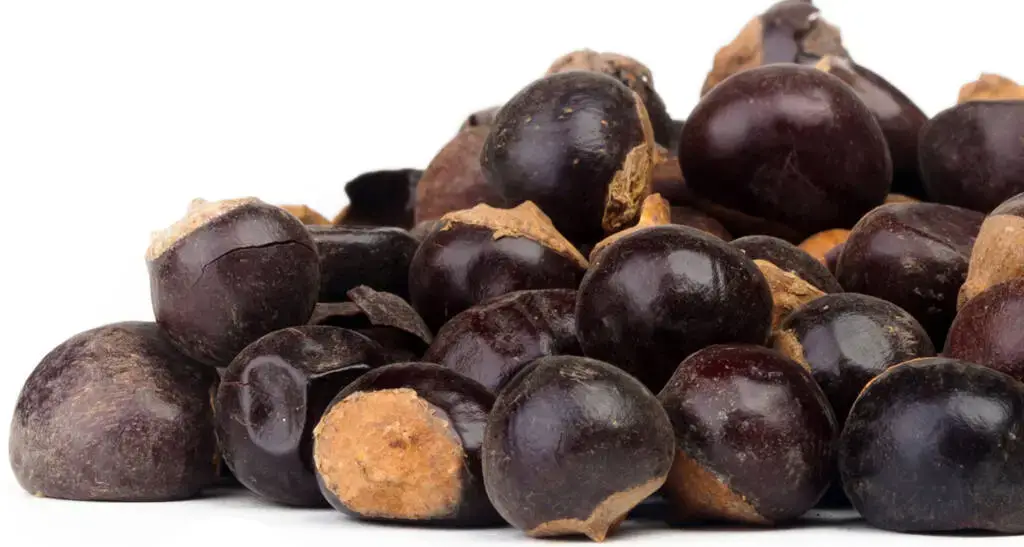 Health on the InfoStarBase