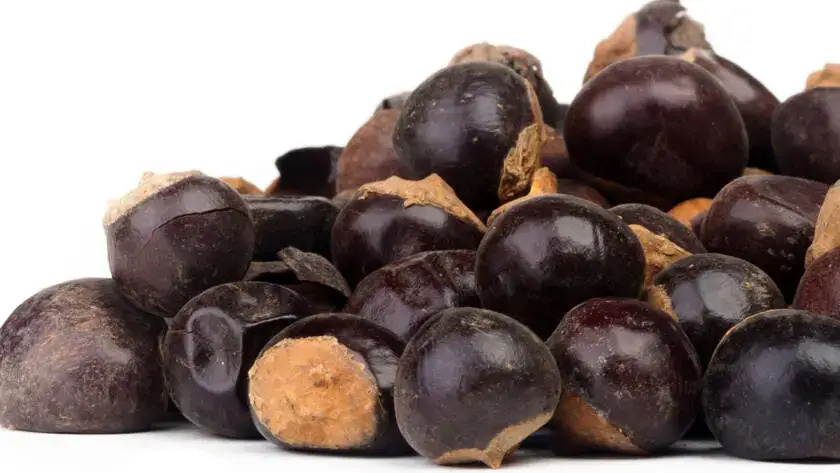 Health on the InfoStarBase