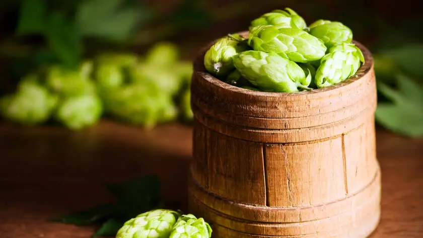 Health on the InfoStarBase