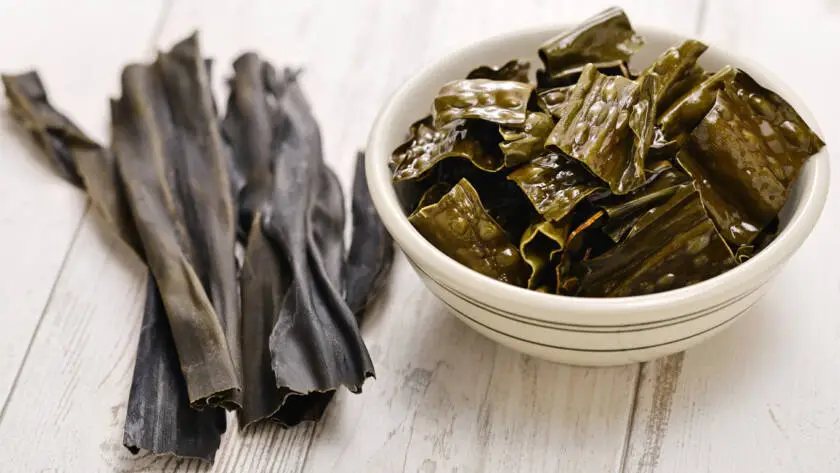 Health on the InfoStarBase