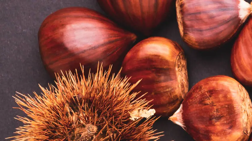 Health on the InfoStarBase