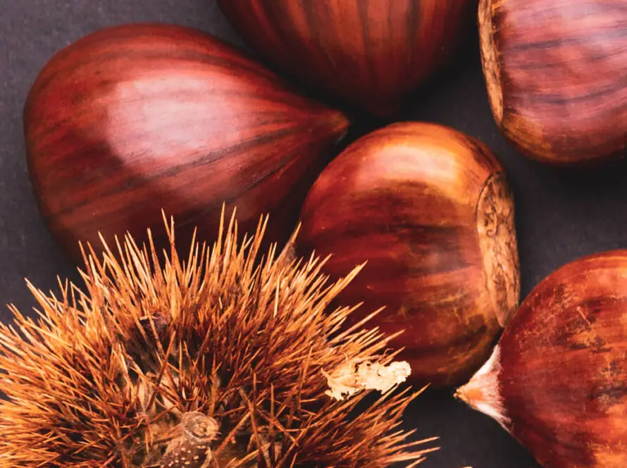 Health on the InfoStarBase