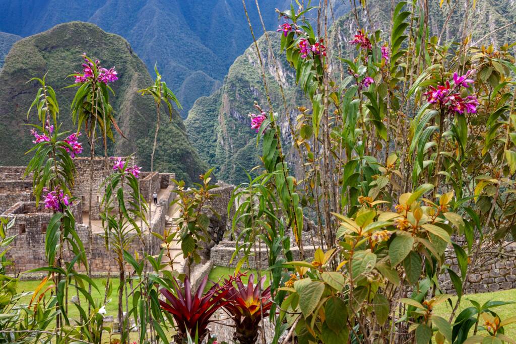 The Inca city of Machu Picchu in Peru, South America