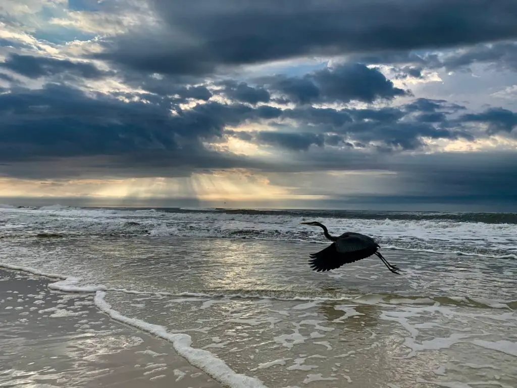 Beautiful day at the beach