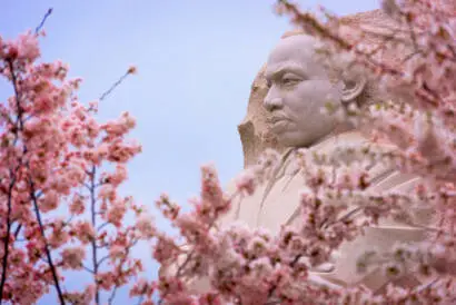 Explore the significance of presenting a film on despotism to honor Martin Luther King Jr. Day.