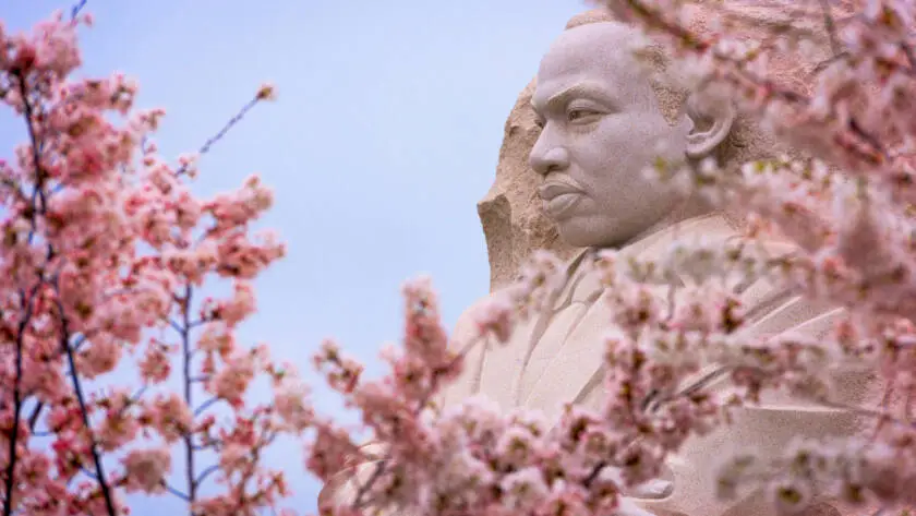 Explore the significance of presenting a film on despotism to honor Martin Luther King Jr. Day.