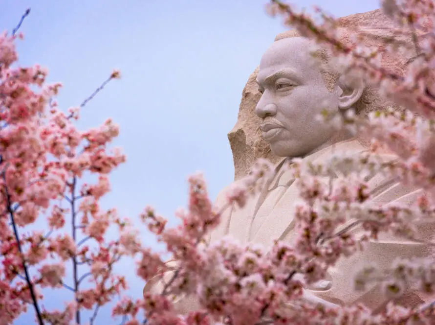 Explore the significance of presenting a film on despotism to honor Martin Luther King Jr. Day.
